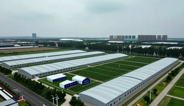 直播场景下的品牌广告设计性能优化策略